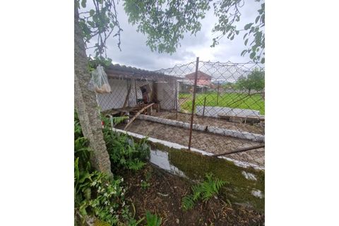 Villa a Ganfei, Viana do Castelo, Ganfei - € 220.000 | Ref: UNU-F1-11-29 - foto 20