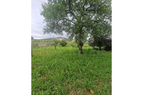Villa a Ganfei, Viana do Castelo, Ganfei - € 220.000 | Ref: UNU-F1-11-29 - foto 32