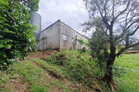 Villa a Fontoura, Viana do Castelo, Fontoura - € 212.500 | Ref: UNU-F1-11-32 - foto 6