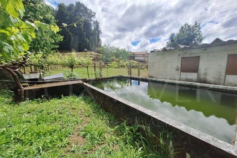 Villa a Fontoura, Viana do Castelo, Fontoura - € 212.500 | Ref: UNU-F1-11-32 - foto 7