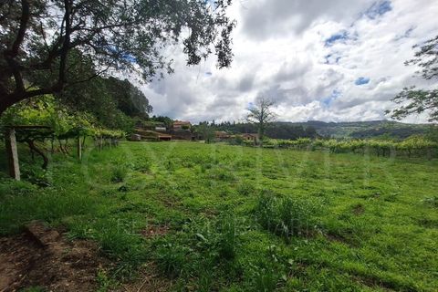 Villa a Fontoura, Viana do Castelo, Fontoura - € 212.500 | Ref: UNU-F1-11-32 - foto 15