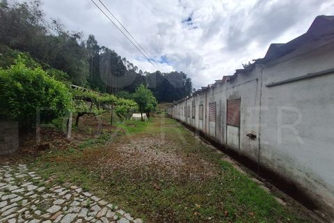 Villa a Fontoura, Viana do Castelo, Fontoura - € 212.500 | Ref: UNU-F1-11-32 - foto 18