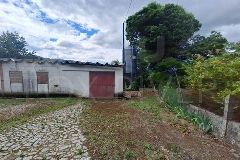 Villa a Fontoura, Viana do Castelo, Fontoura - € 212.500 | Ref: UNU-F1-11-32 - foto 19