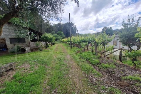 Villa a Fontoura, Viana do Castelo, Fontoura - € 212.500 | Ref: UNU-F1-11-32 - foto 21
