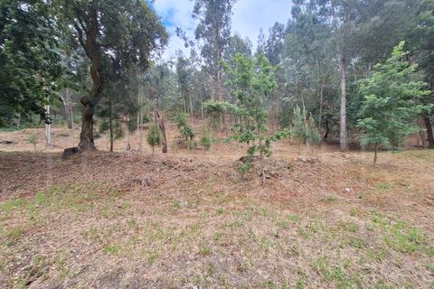 Villa a Fontoura, Viana do Castelo, Fontoura - € 212.500 | Ref: UNU-F1-11-32 - foto 28