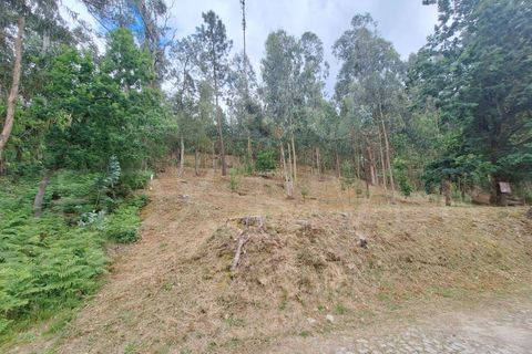 Villa a Fontoura, Viana do Castelo, Fontoura - € 212.500 | Ref: UNU-F1-11-32 - foto 29