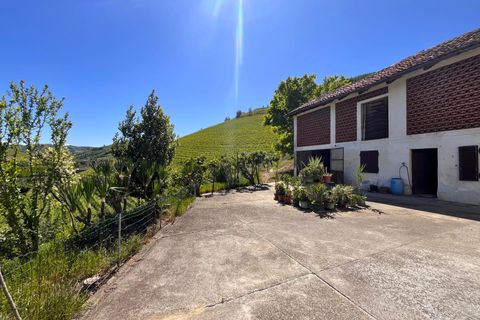 Villa a Neive, Cuneo, Neive - € 180.000 | Ref: 87013898 - foto 4