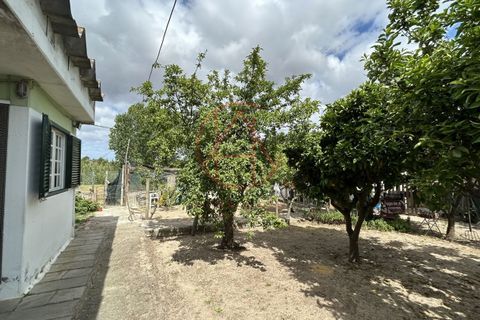 Villa i Setubal, Setubal, Setubal - € 185.000 | Ref: 13052026 - foto 15