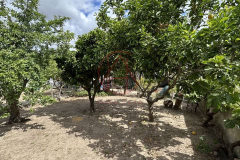 Villa i Setubal, Setubal, Setubal - € 185.000 | Ref: 13052026 - foto 16