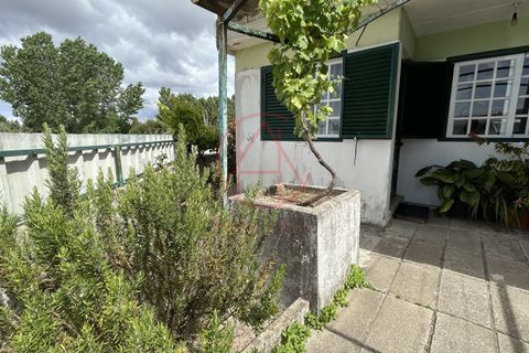 Villa i Setubal, Setubal, Setubal - € 185.000 | Ref: 13052026 - foto 21
