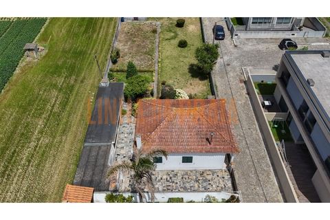 Villa i Mindelo, Porto, Mindelo - € 235.000 | Ref: 5600 - foto 8