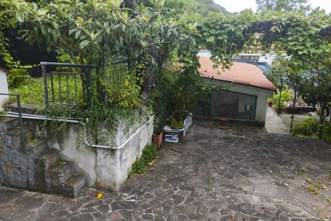 Helårsgrund i Trieste, Trieste, Trieste - € 250.000 | Ref: strada per basovizza - foto 3