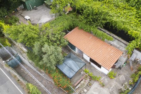 Helårsgrund i Trieste, Trieste, Trieste - € 250.000 | Ref: strada per basovizza - foto 5
