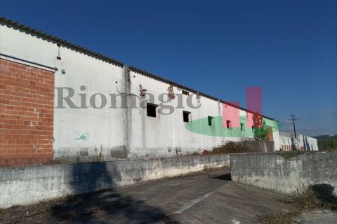 Erhvervsejendom i Tomar, Santarem, Tomar - € 90.000 | Ref: 159.26 - foto 5
