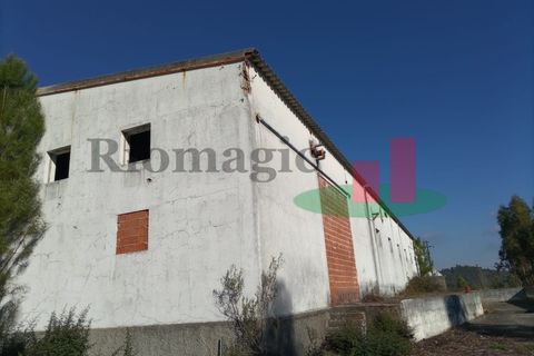 Erhvervsejendom i Tomar, Santarem, Tomar - € 90.000 | Ref: 159.26 - foto 8