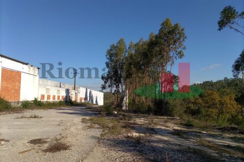 Erhvervsejendom i Tomar, Santarem, Tomar - € 90.000 | Ref: 159.26 - foto 10