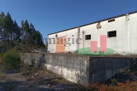 Erhvervsejendom i Tomar, Santarem, Tomar - € 90.000 | Ref: 159.26 - foto 11