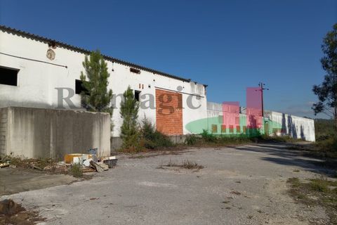 Erhvervsejendom i Tomar, Santarem, Tomar - € 90.000 | Ref: 159.26 - foto 14