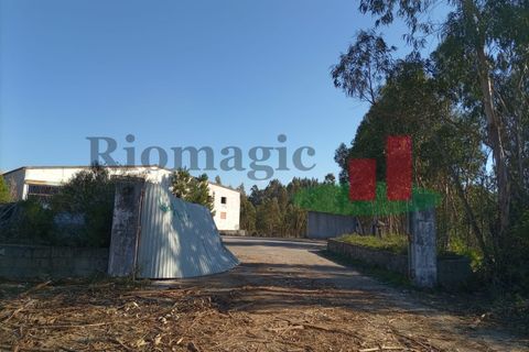 Erhvervsejendom i Tomar, Santarem, Tomar - € 90.000 | Ref: 159.26 - foto 15