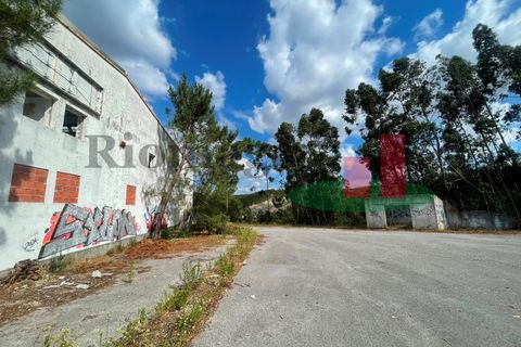 L'establiment comercial a Tomar, Santarem, Tomar - € 90.000 | Ref: 159.26 - foto 22