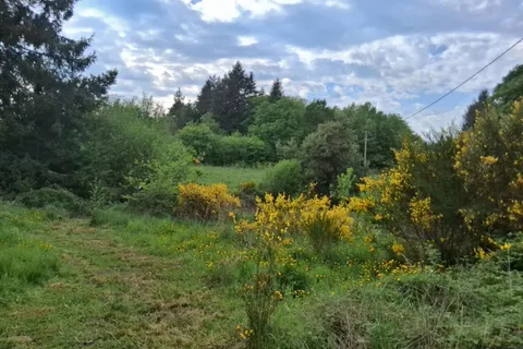 Herregård i Auzances, Creuse, Auzances - € 255 000 | Ref: MB-13603 - foto 14