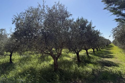 Villa i Arles, Bouches-du-Rhone, Arles - € 520.000 | Ref: 891 - foto 1
