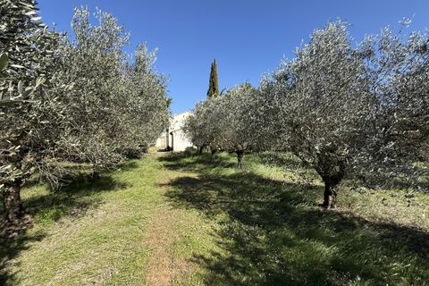 Villa i Arles, Bouches-du-Rhone, Arles - € 520.000 | Ref: 891 - foto 24