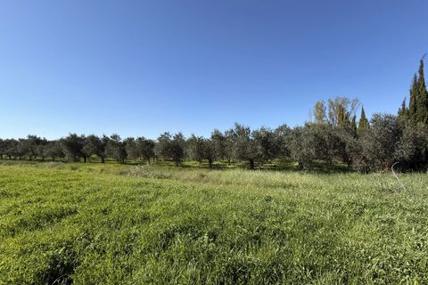 Villa i Arles, Bouches-du-Rhone, Arles - € 520.000 | Ref: 891 - foto 25