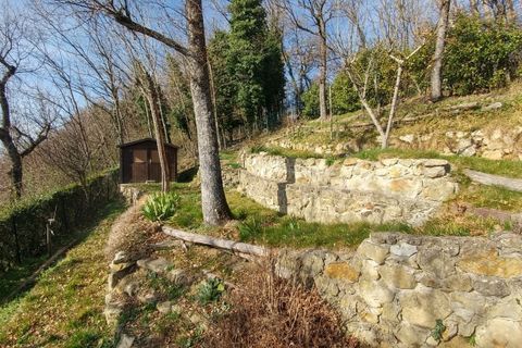 Byhus i Zocca, Modena, Zocca - € 96.000 | Ref: 3128 - foto 34