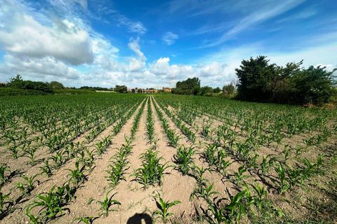 Terra a Capua, Caserta, Capua - € 45.000 | Ref: 45terr - foto 2