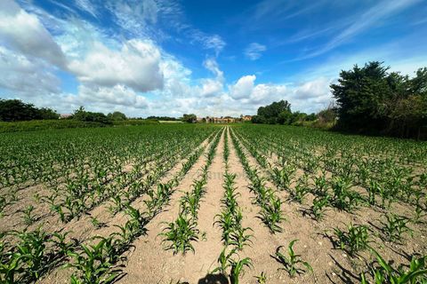 Terra a Capua, Caserta, Capua - € 45.000 | Ref: 45terr - foto 3