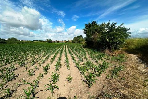 Terra a Capua, Caserta, Capua - € 45.000 | Ref: 45terr - foto 4