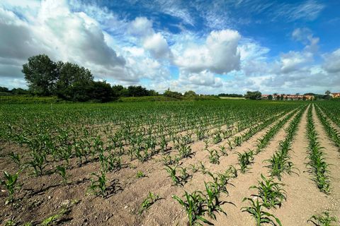 Terra a Capua, Caserta, Capua - € 45.000 | Ref: 45terr - foto 5