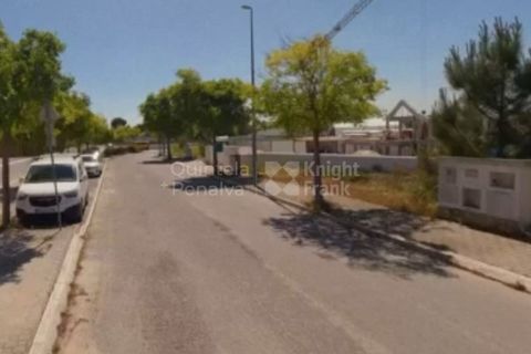 Villa a Comporta, Setubal, Comporta - € 2.650.000 | Ref: PROP-34656 - foto 16
