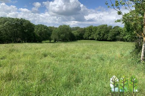 Farm i Chassignolles, Indre, Chassignolles - € 279.030 | Ref: PH1289-ATTEGIA - foto 47