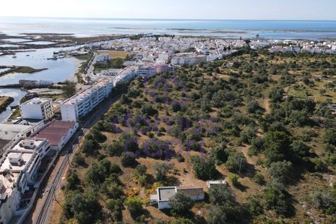 Villa i Moncarapacho, Faro, Moncarapacho - € 1.200.000 | Ref: 6426008 - foto 1