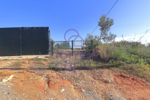 Villa i Moncarapacho, Faro, Moncarapacho - € 1.200.000 | Ref: 6426008 - foto 7