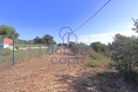 Villa i Moncarapacho, Faro, Moncarapacho - € 1.200.000 | Ref: 6426008 - foto 9