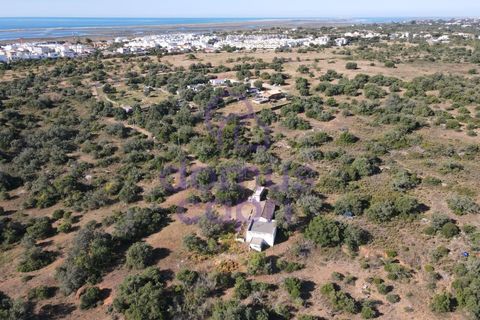 Villa i Moncarapacho, Faro, Moncarapacho - € 1.200.000 | Ref: 6426008 - foto 10