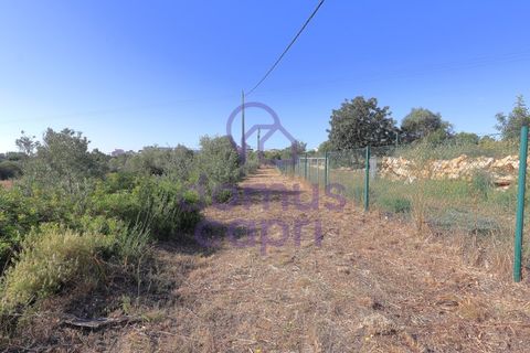 Villa i Moncarapacho, Faro, Moncarapacho - € 1.200.000 | Ref: 6426008 - foto 11
