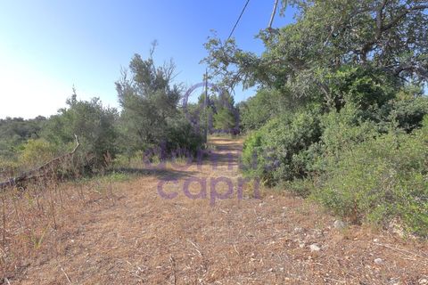 Villa i Moncarapacho, Faro, Moncarapacho - € 1.200.000 | Ref: 6426008 - foto 13