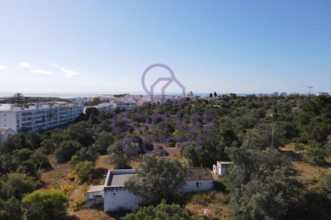 Villa i Moncarapacho, Faro, Moncarapacho - € 1.200.000 | Ref: 6426008 - foto 14