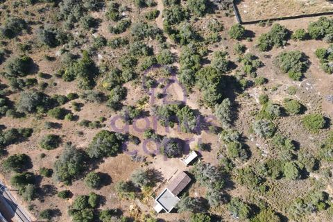Villa i Moncarapacho, Faro, Moncarapacho - € 1.200.000 | Ref: 6426008 - foto 15