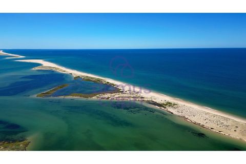 Villa i Moncarapacho, Faro, Moncarapacho - € 1.200.000 | Ref: 6426008 - foto 18
