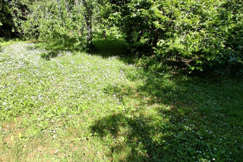 Byhus i Lucca, Lucca, Lucca - € 230.000 | Ref: 6484 - foto 28