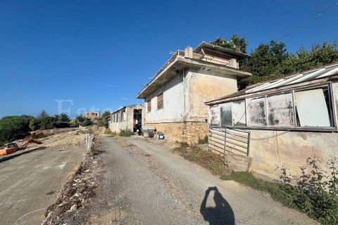Landejendom i Bordighera, Imperia, Bordighera - € 800.000 | Ref: iv1315 - foto 6