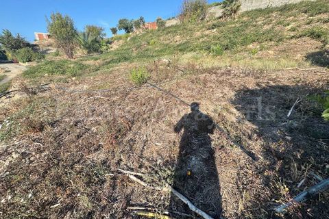 Landejendom i Bordighera, Imperia, Bordighera - € 800.000 | Ref: iv1315 - foto 9