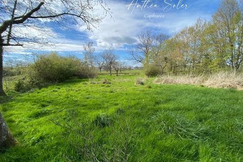 Villa i Corbigny, Nievre, Corbigny - € 130.000 | Ref: 340936338166 - foto 3