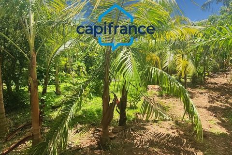 Villa a Sainte-Rose, La Reunion, Sainte-Rose - € 286.500 | Ref: 340934150778 - foto 11