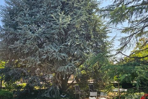 Villa i Fénay, Cote-d'Or, Fénay - € 319.000 | Ref: 340935425893 - foto 11
